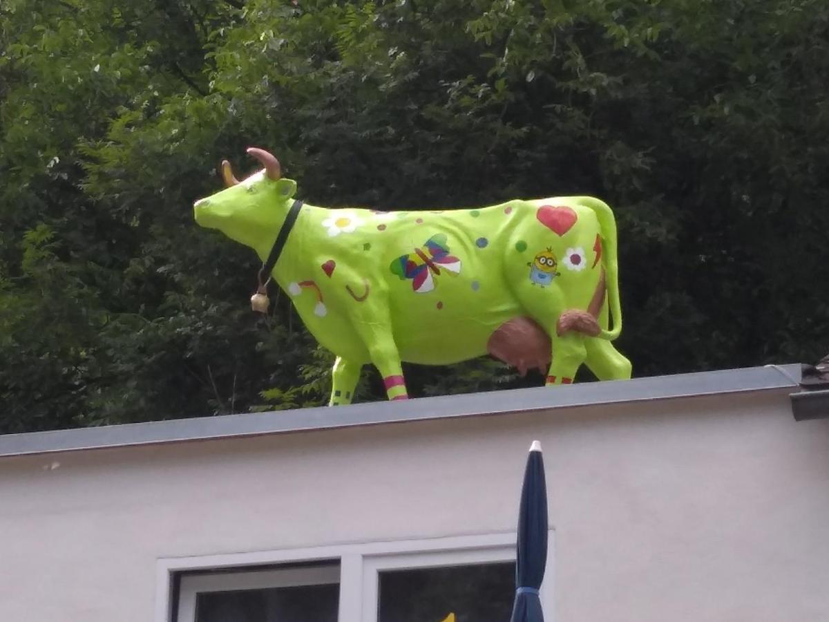 Pension Camping Schausten Cochem Bagian luar foto